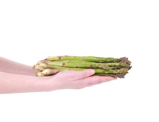Bunch of fresh asparagus in hand.