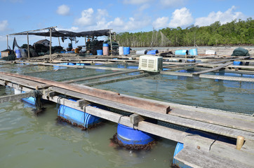 Fototapeta na wymiar Kelong, offshore platform, built predominantly with woodby fishe
