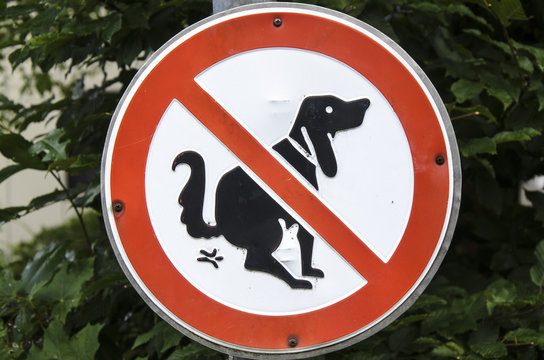 Verbotsschild Hundehaufen