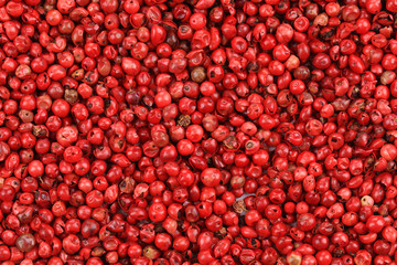Spicy red chili pepper texture.