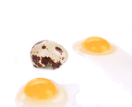 Broken quail eggs.