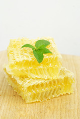 bio honeycombs
