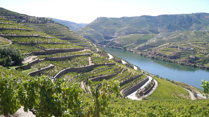 Douro