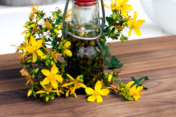 hypericum perforatum