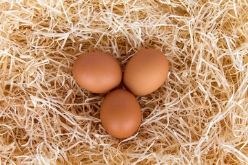 Chicken eggs in the straw.