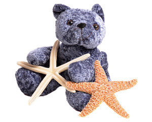 Starfish and Stuffed Animal
