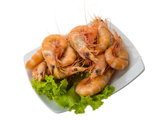 Big tiger shrimps
