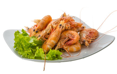 Big tiger shrimps