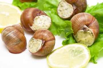 stuffed snails, lemon and lettuce closeup