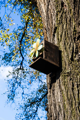 Vogelhaus