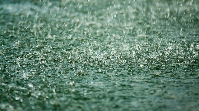 Shower, raindrop falling on the surface of the lake
