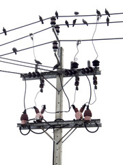 electrical power lines