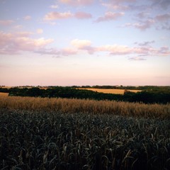 am abend