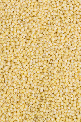 Millet Background