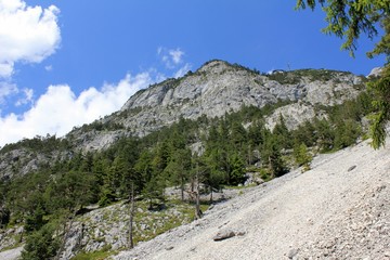 Alps during summertime