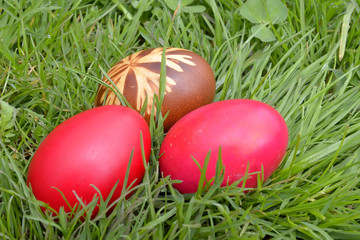 Easter Dekoration with colorful egs in grass