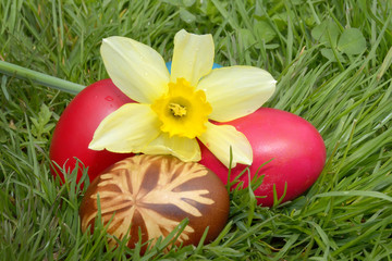 Easter Dekoration with colorful egs in grass