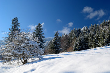 Beautiful winter landscape in mountain