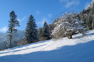 Beautiful winter landscape in mountain