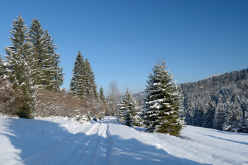 Beautiful winter landscape in mountain