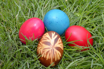 Easter Dekoration with colorful egs in grass