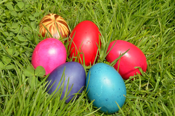 Easter Dekoration with colorful egs in grass