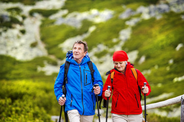 Senior couple hiking