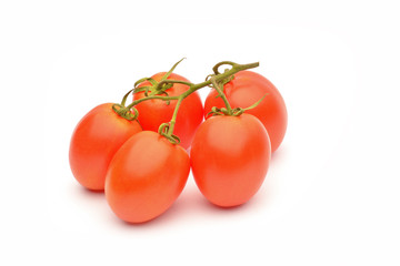 Tomatoes on white background