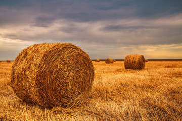 harvested field with straw bales in sundown before the rain