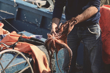 polpo con pescatore