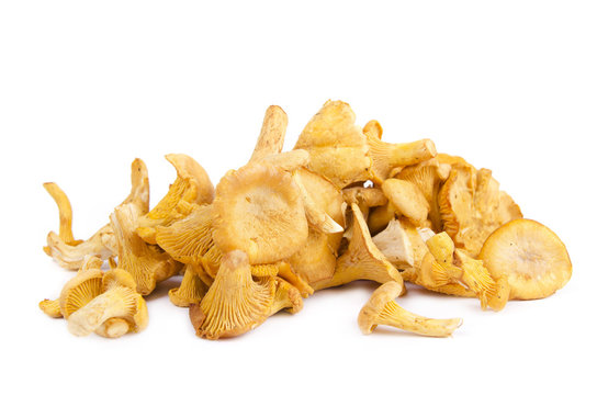 Kantareller