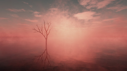 Fototapeta na wymiar Dead tree in misty lake with cloudy sky at sunrise. Panoramic sh