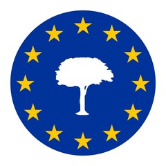 Arbre dans un drapeau européen