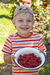 Little boy with bowl of raspberry