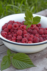 Fresh raspberry
