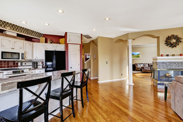 House interior. Living and kitchen room