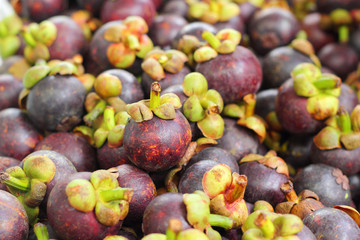 Fresh mangosteen in the Market