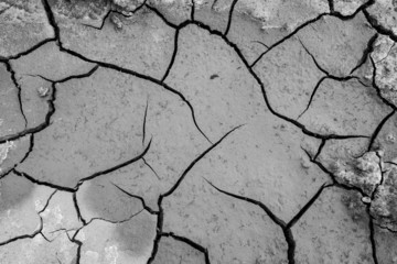 cracked soil
