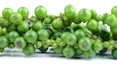 green peppercorns on white background