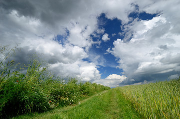 Country road and scenic clouds. Landscape.