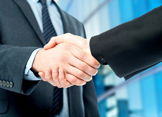 Business handshake, the deal Is finalized.