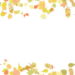 Seamless autumn leaves pattern.