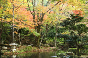 岐阜公園の紅葉