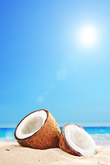 Fototapeta na wymiar An opened coconut by the ocean on a sunny day