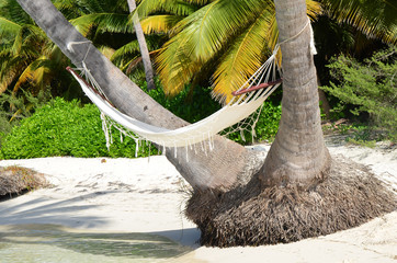 Hammock on a palm tree on the beach.