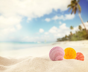 Summer beach background