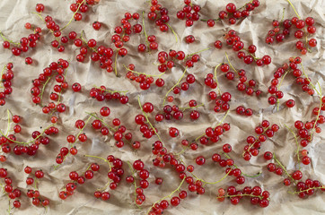 Background with red currant on paper