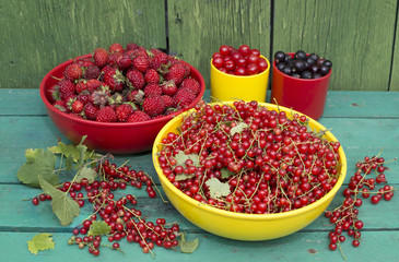 Summer gather of berries