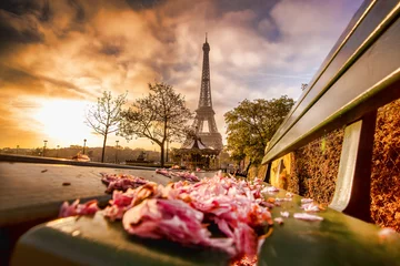 Fotobehang Eiffel Tower against sunrise in Paris, France © Tomas Marek
