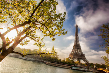 Fototapeta na wymiar Eiffel Tower with boat on Seine in Paris, France